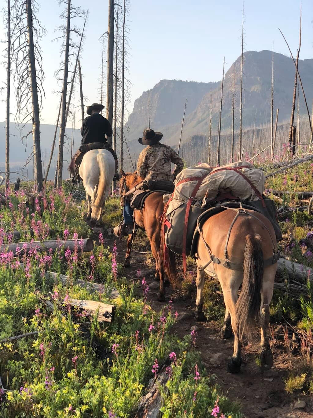 Sable Mountain Outfitters