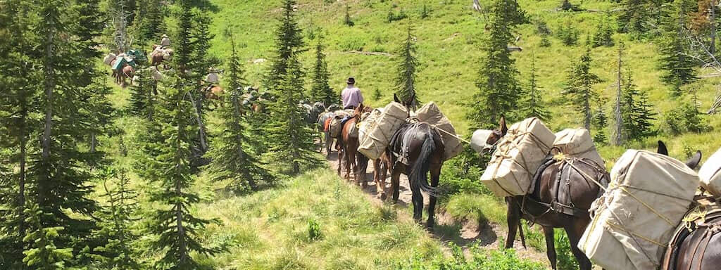 Mills Wilderness Adventures
