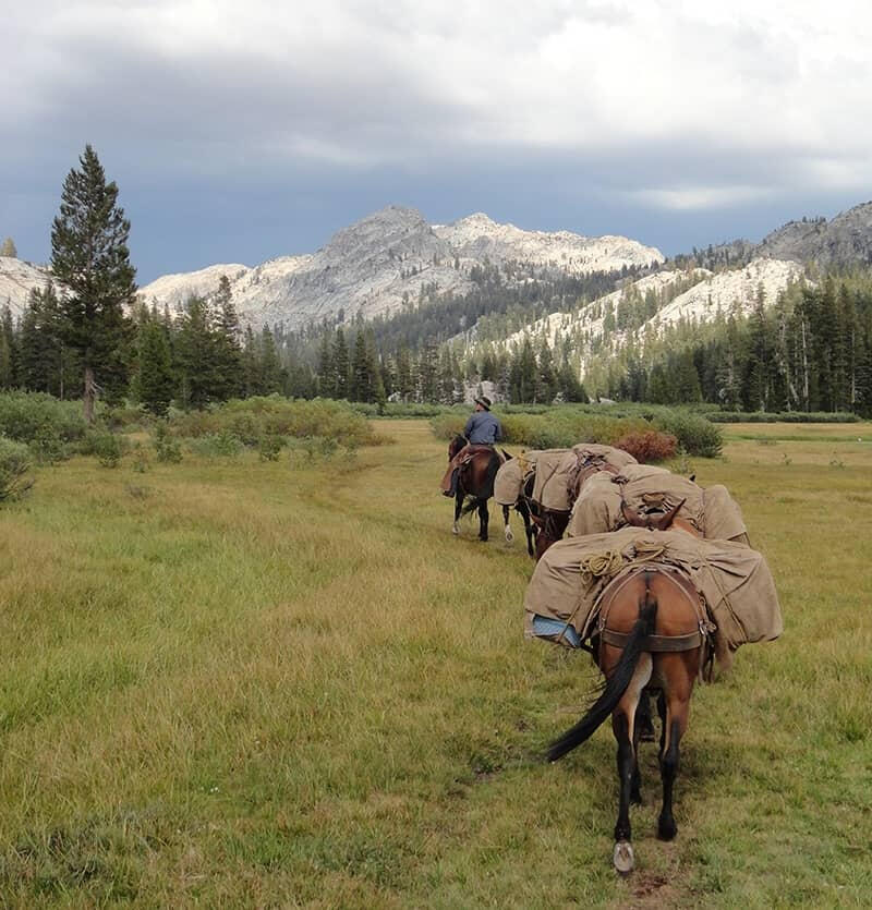 Aspen Meadow Pack Station