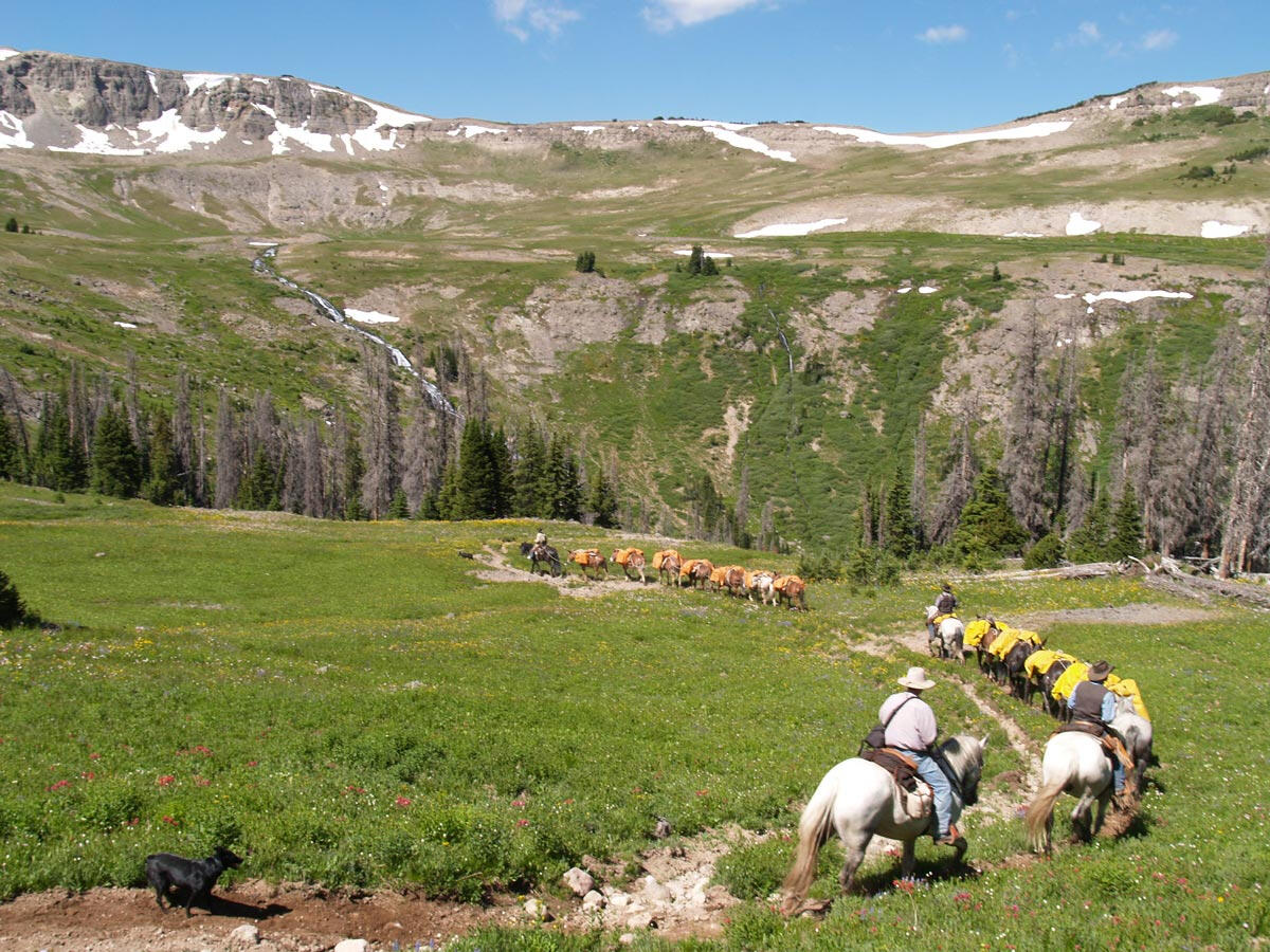 Yellowstone Outfitters WY