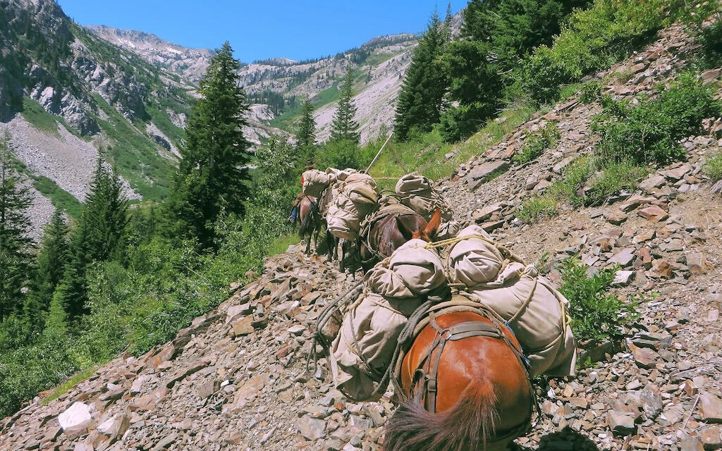 WildCountry Packing WildCountry Packing