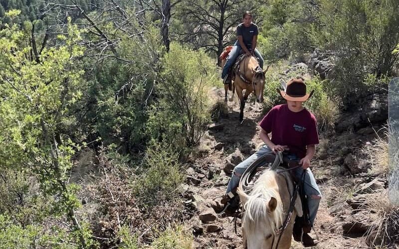 Armstrong Equine Services Pack Trip NM