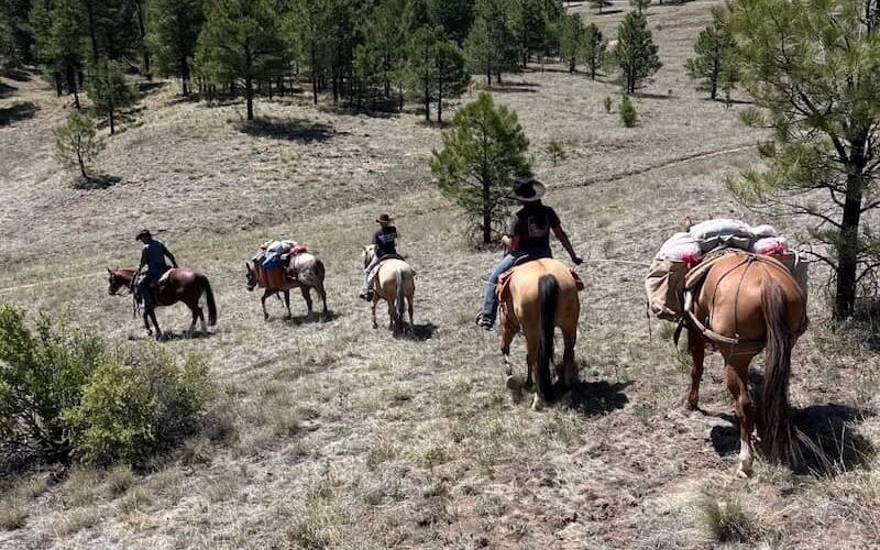 Armstrong Equine Services Pack Trip NM