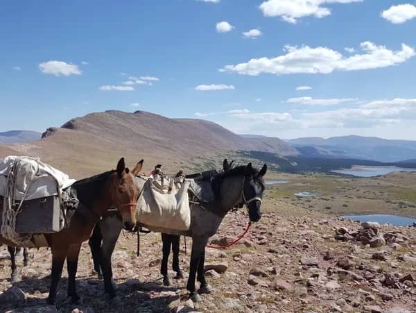 Rusty Farnsworth Outfitting Utah