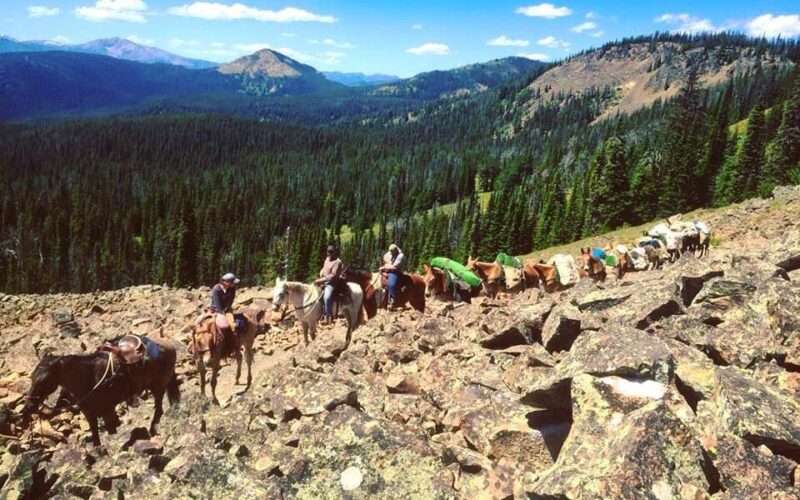 Specimen Creek Outfitters MT