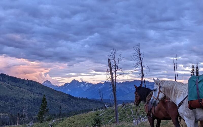 Wilderness Trails Outfitters - Jackson WY
