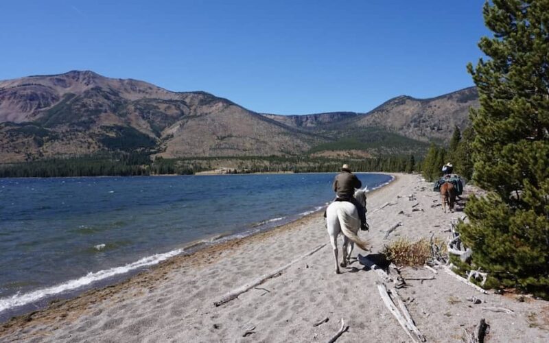 Wilderness Trails Outfitters - Jackson WY