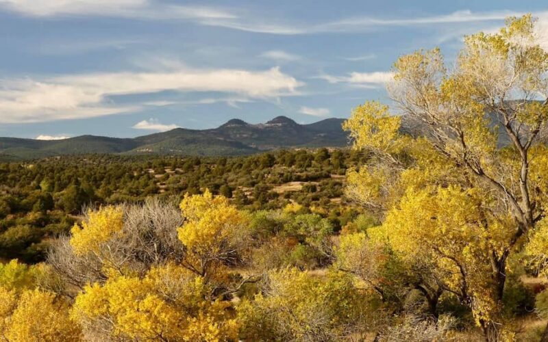 Wolfhorse Outfitters NM