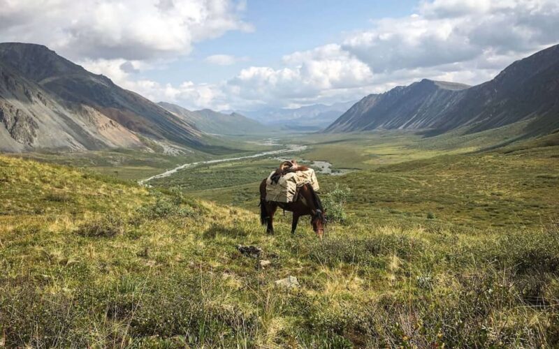 Wrangell Outfitters AK
