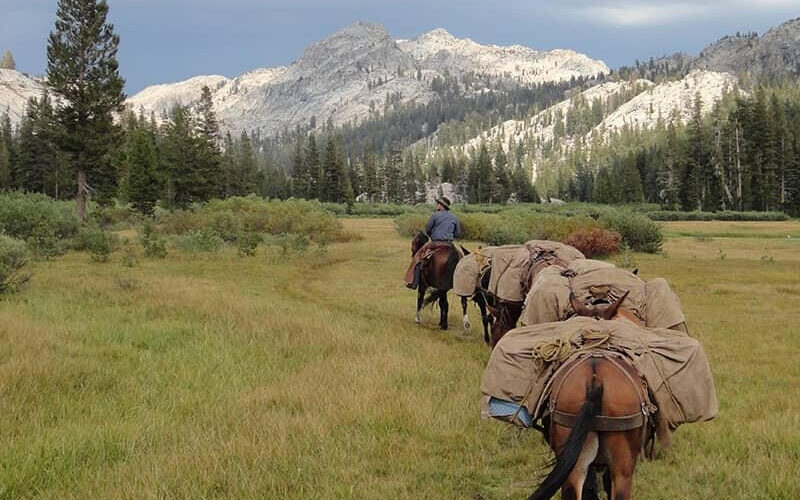 Aspen Meadow Pack Station