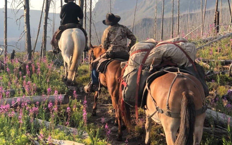 Sable Mountain Outfitters