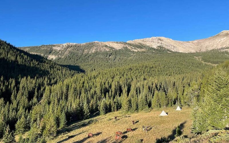 JJJ Wilderness Ranch