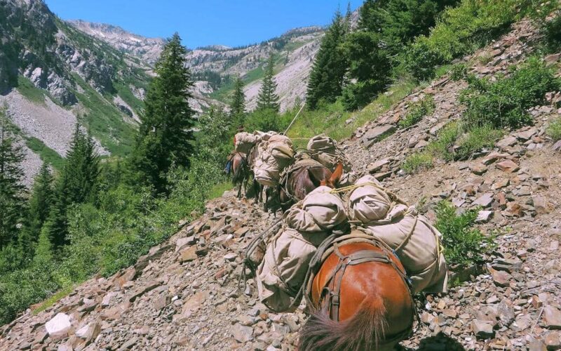 WildCountry Packing