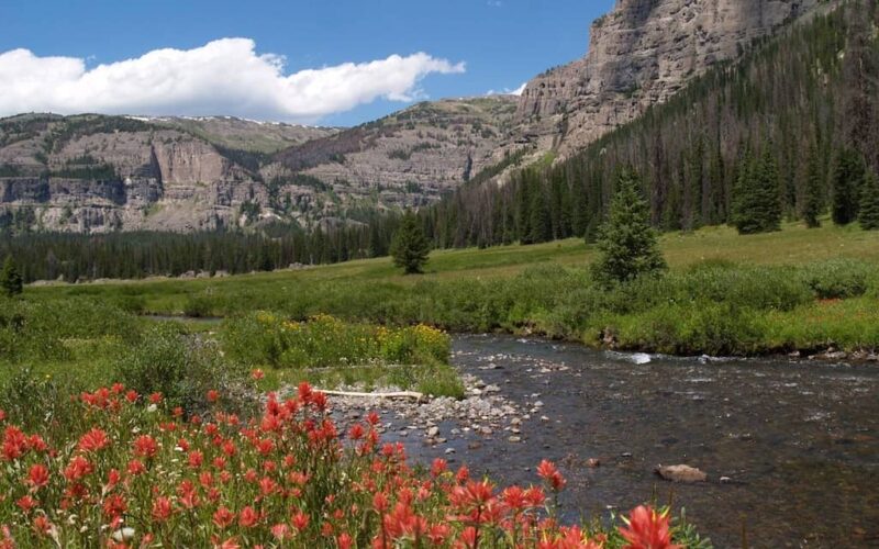 Yellowstone Outfitters