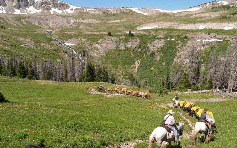 Yellowstone Outfitters