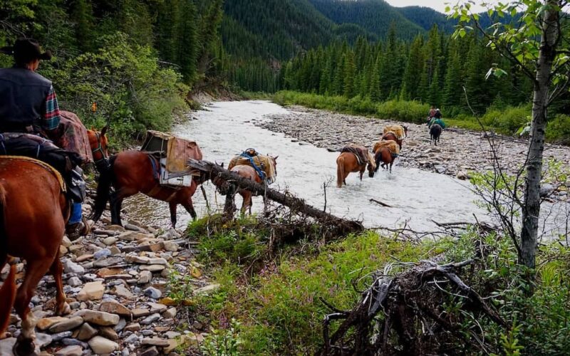 McKenzie's Trails West Canada