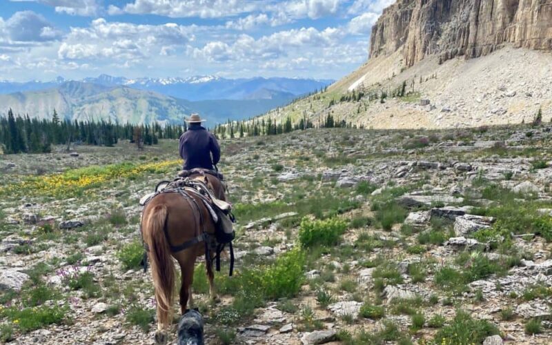 Mills Wilderness Adventures MT