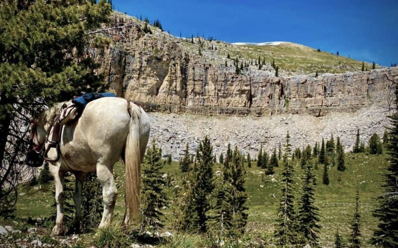 Mills Wilderness Adventures MT