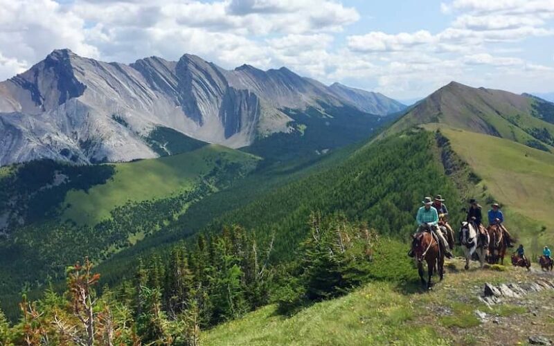 Anchor D Guiding & Outfitting Alberta