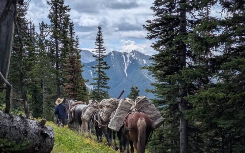 7 Lazy P Outfitters Pack Trip