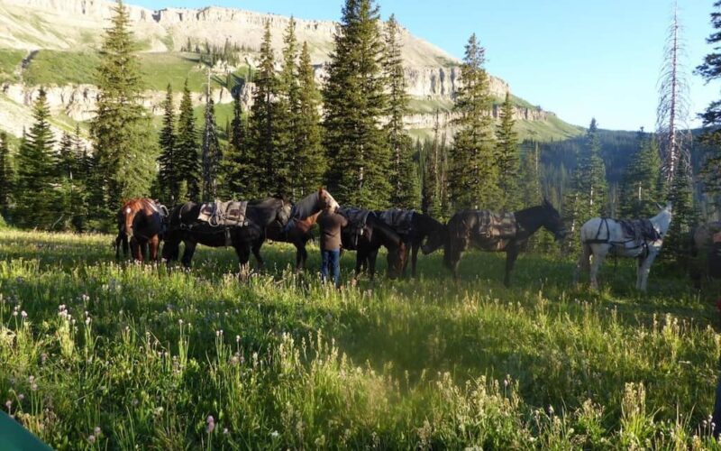 Sun Canyon Lodge & Outfitting