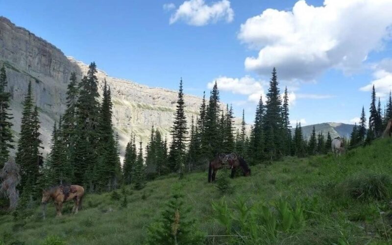 Sun Canyon Lodge & Outfitting