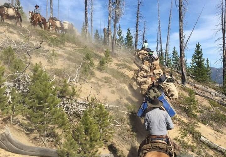 Icicle Outfitters & Guides WA